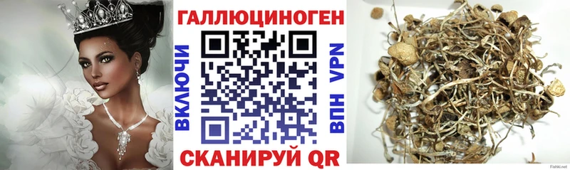 купить   Ижевск  ОМГ ОМГ зеркало  Псилоцибиновые грибы мухоморы 