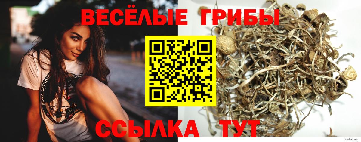 цены   Галлюциногенные грибы Psilocybe  Галлюциногенные грибы прущие грибы  Вход с VPN  Ижевск 